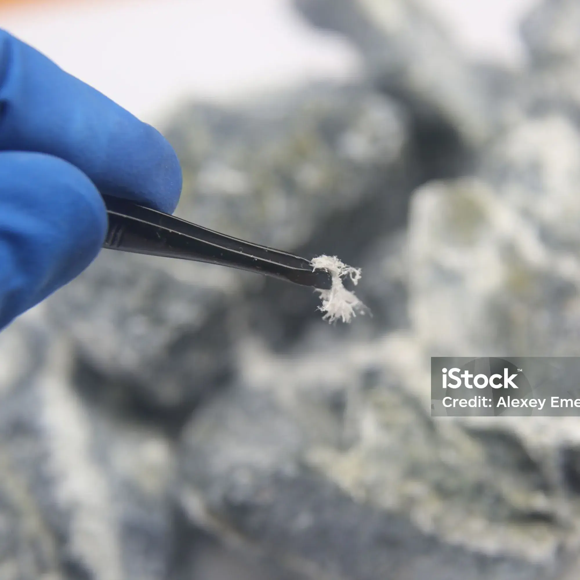 istockphoto-1267659690-2048x2048-1